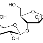 Breath Test al Lattulosio